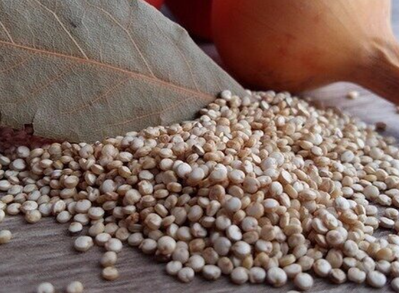 QUINOA RAINBOW STEW W/ BLACK GARLIC
