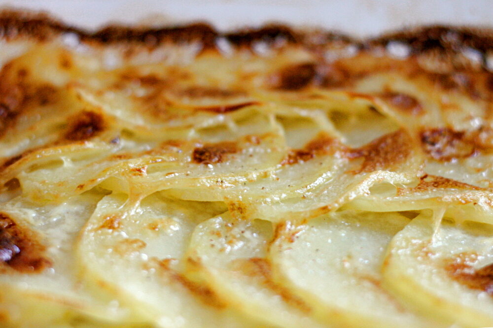 BLACK GARLIC AU GRATIN POTATOES