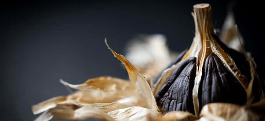 Why Wisconsin Fermentation Company?