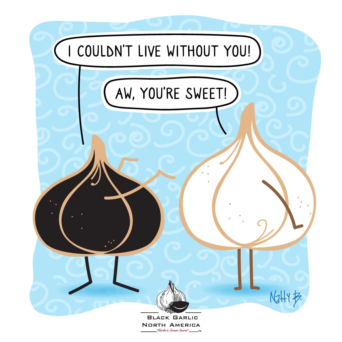 “What is black garlic?” and other frequently asked questions!