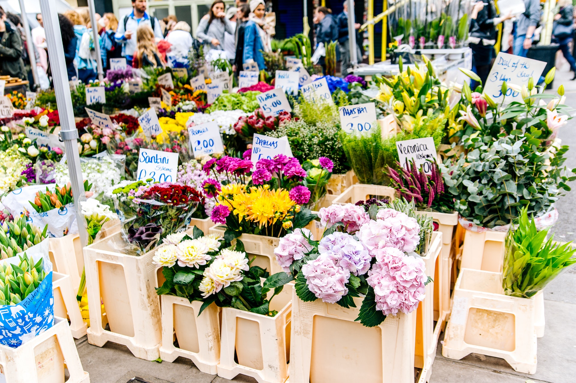 Why Shopping at Farmers Markets Makes a Difference