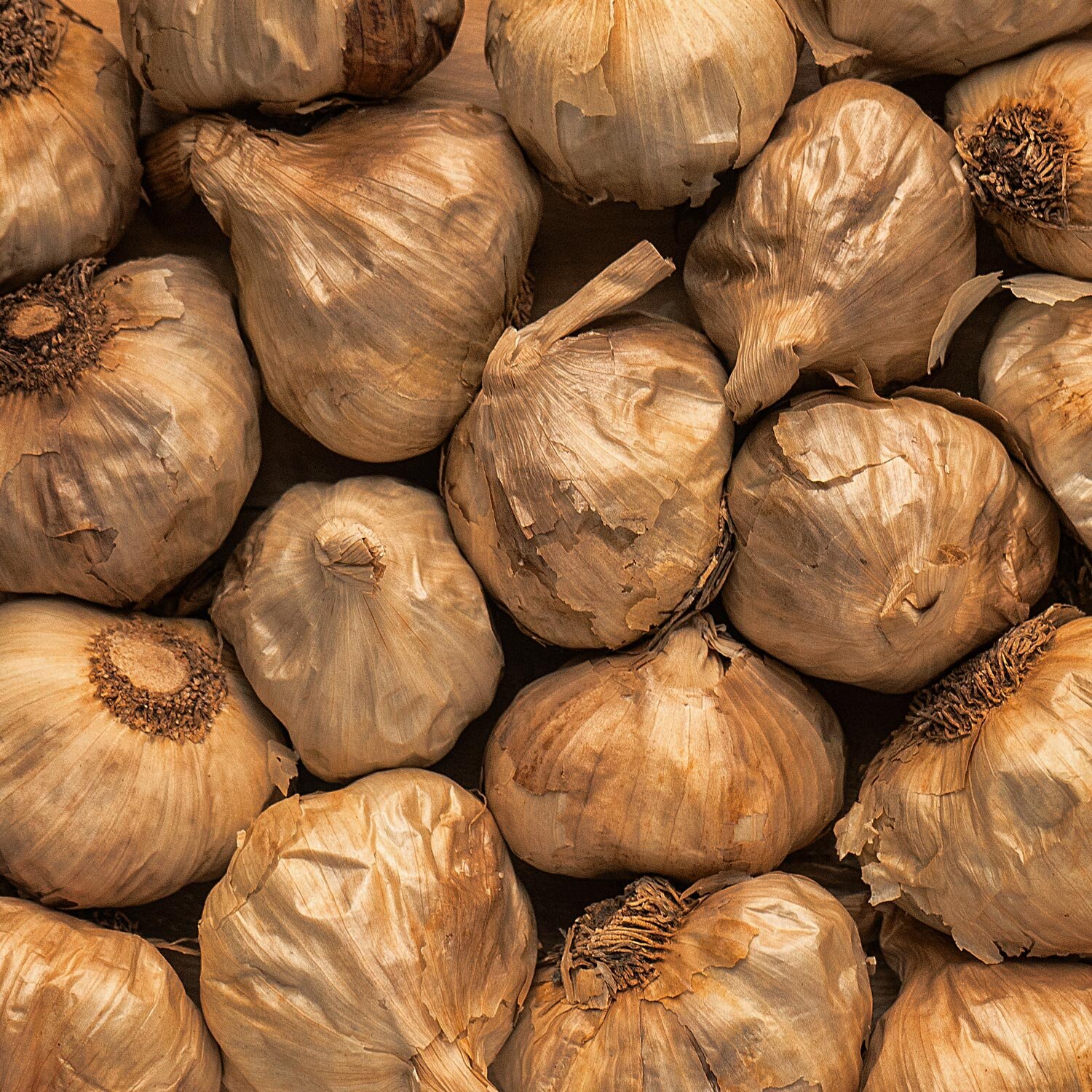 Black Garlic Whole Bulb – 1/2 lb